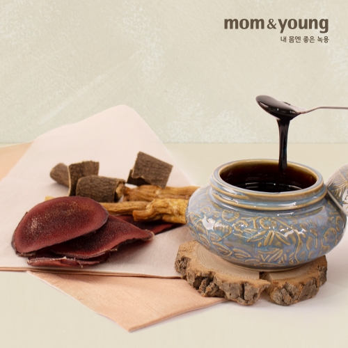 [몸엔용] 녹용정 500g(250g X 2EA)