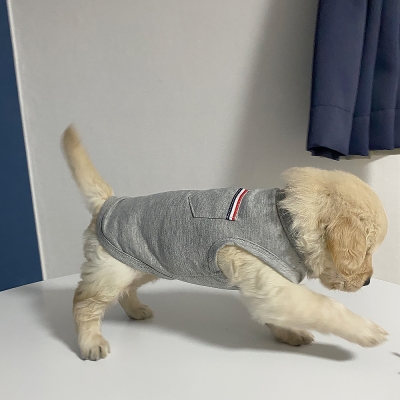 강아지명품옷 2colors 민소매