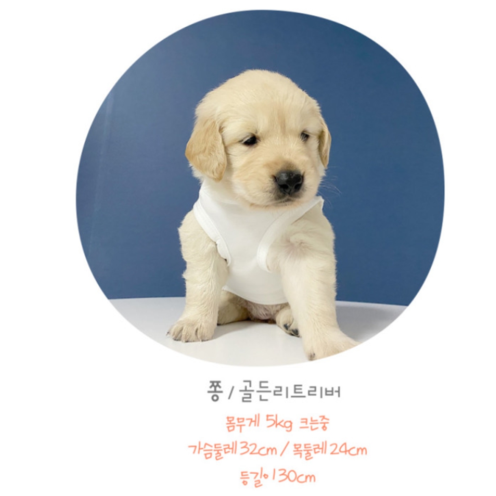 강아지명품옷 2colors 민소매
